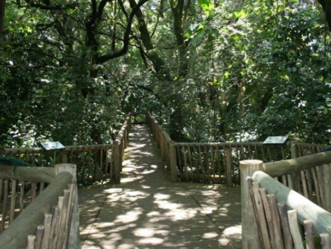 Lowveld Botanical Gardens